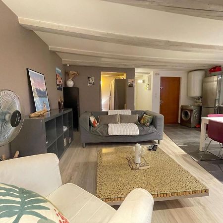 Le Plein Air D'Annecy, Proche Gare Apartment Luaran gambar